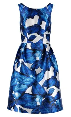 Blue and White Floral Dress