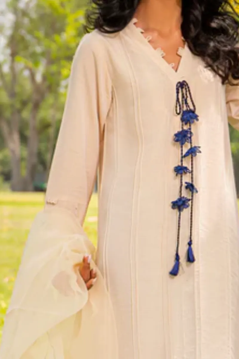 Embroidered Dupatta Pinucks Shirt