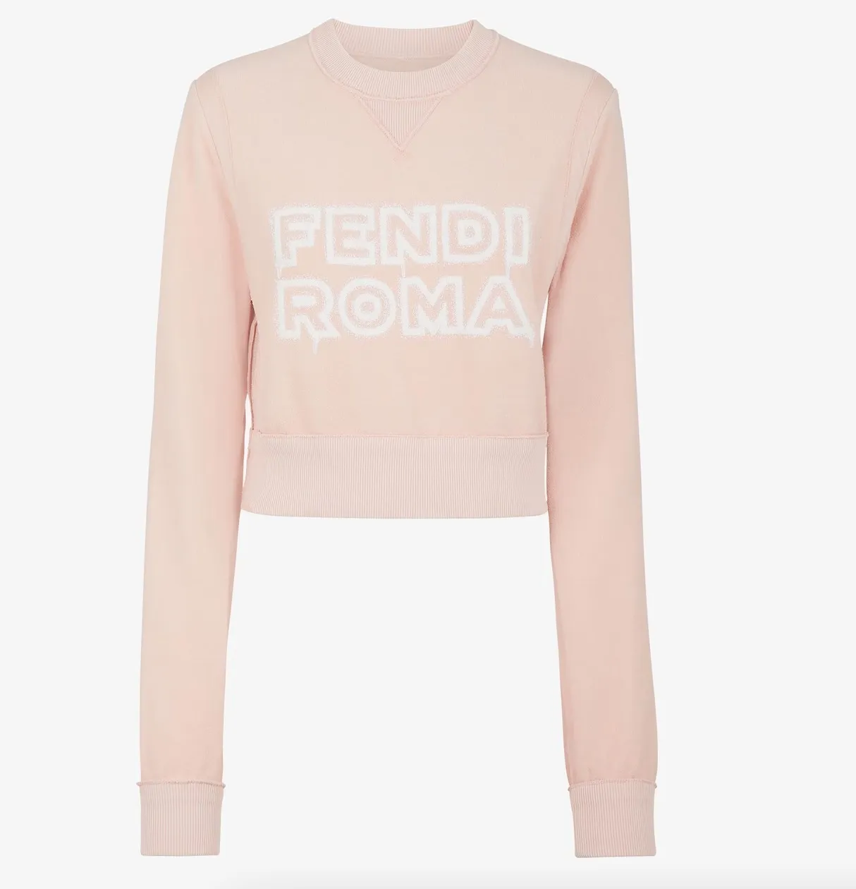 FENDI | Unisex Street Style Cotton Sweatshirt Long Sleeves (Medium)