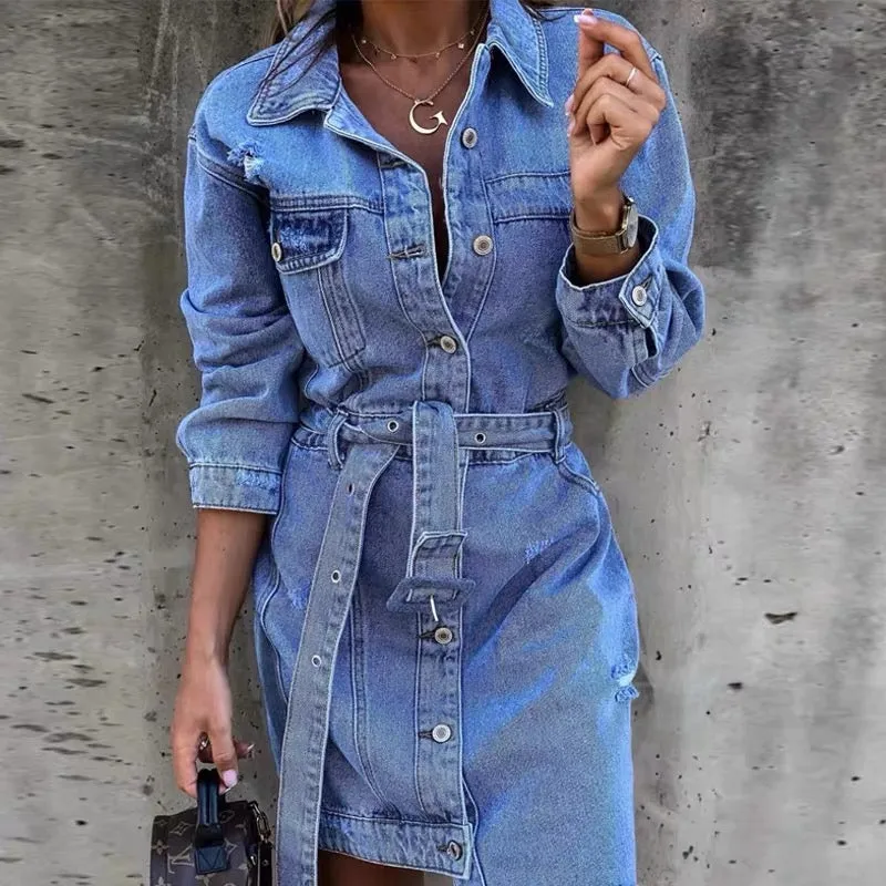 Heloise denim dress