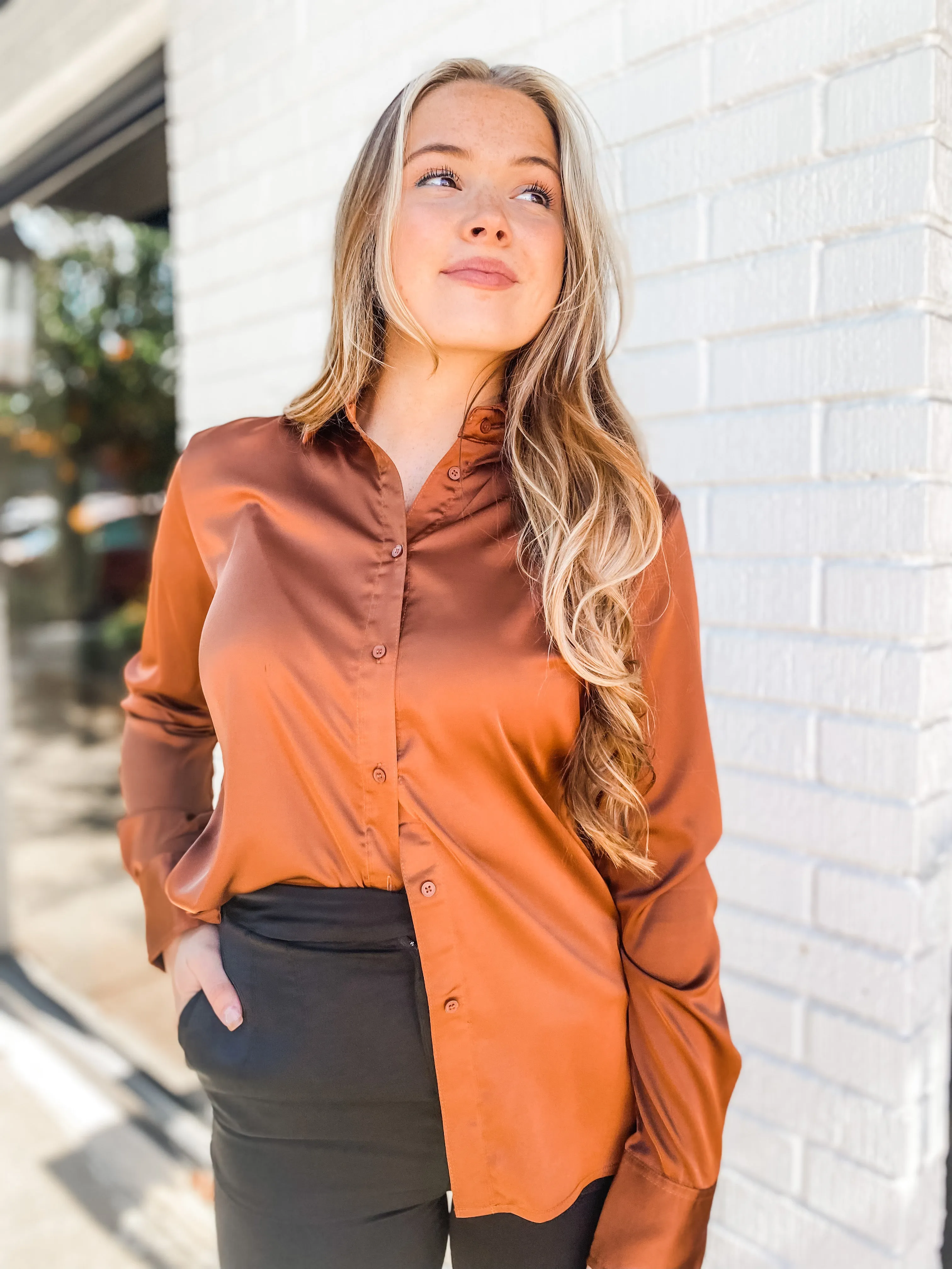 Smooth and Shiny Long Sleeve Blouse